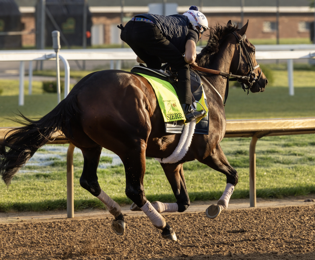 2024 Kentucky Derby Clocker Sierra Leone continues to shine training